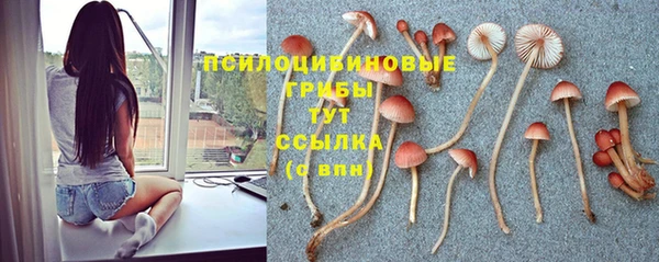 дистиллят марихуана Зеленокумск