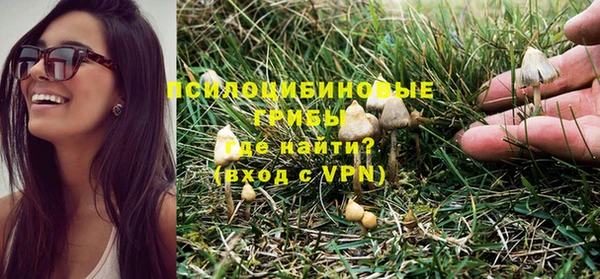 шишки Зерноград